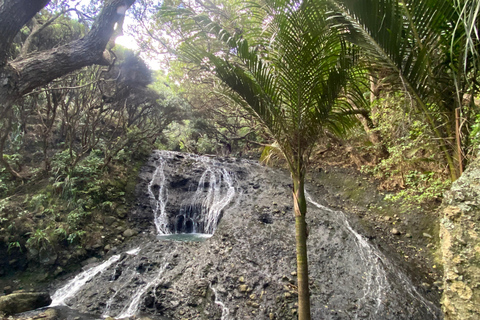 Piha &amp; Karekare - Out of Auckland Private TourPrivate Guided Tour in English