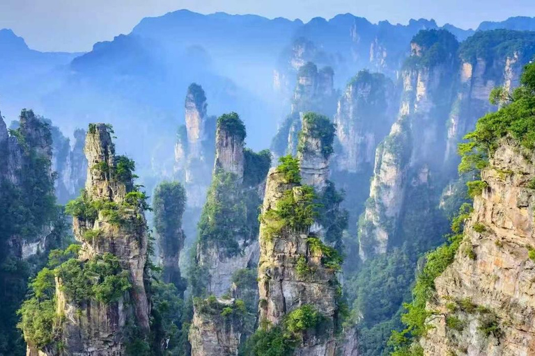 Zhangjiajie: Avatar Mountains, Tianzi, 72 Tower private tour