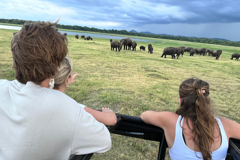 Parque Nacional Minneriya : Safari em jipe com ingressos