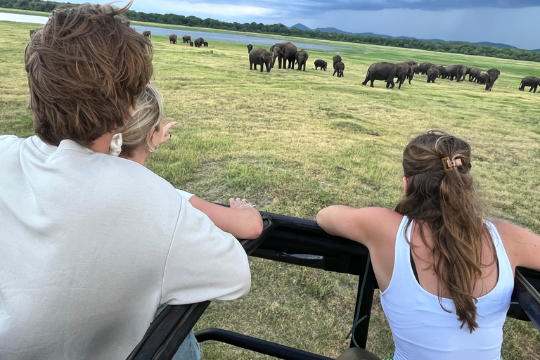 Parc national de Minneriya : Safari en Jeep avec billets