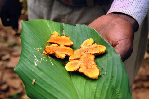 Stone town and spice farm