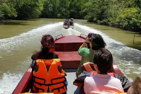 Desde la ciudad de Ho Chi Minh: excursión de un día a la isla de los monos de Can Gio