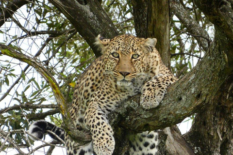 Nairobi: 3-Day Lake Nakuru, Hell’s Gate & Naivasha Safari