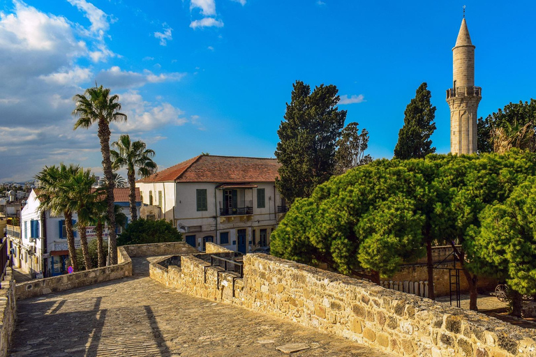 Larnaca: Private Guided Walking Tour with Museum Entry