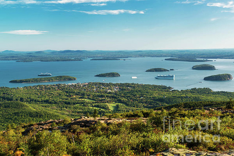 Bar Harbor: tour del parco nazionale di Acadia con rotolo di aragosta