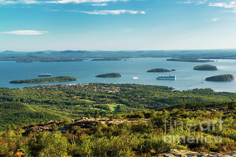 Bar Harbor: tour del parco nazionale di Acadia con rotolo di aragosta