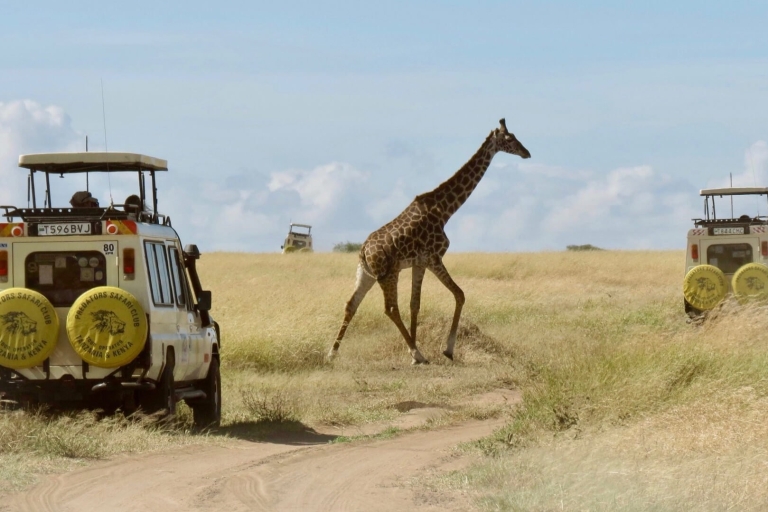 Vanuit Nairobi: Nairobi National Park Groepsavontuur