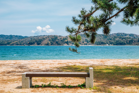 Osaka/Kyoto: Amanohashidate & Ine Funaya & Ine Bay Day Tour Excludes Cable Car & Cruise: 8:00AM Osaka