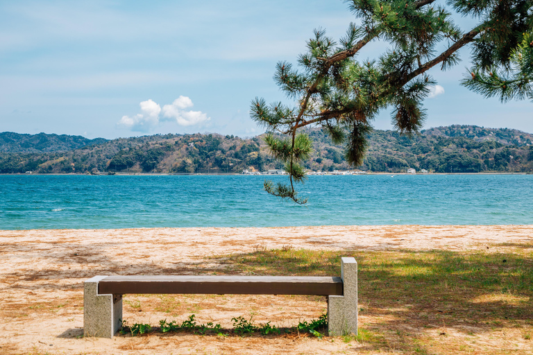 Osaka/Kyoto: Amanohashidate & Ine Funaya & Ine Bay Day Tour Excludes Cable Car & Cruise: 8:00AM Osaka