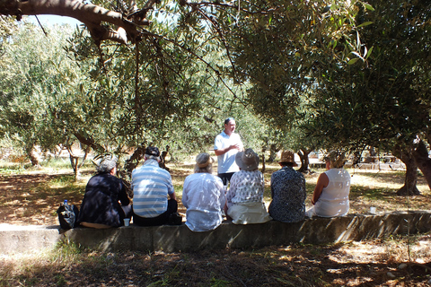 Creta: Experiência no trilho das oliveiras com prova e aula de culinária