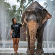 Koh Samui: Elephant Jungle Sanctuary Half-Day Tour