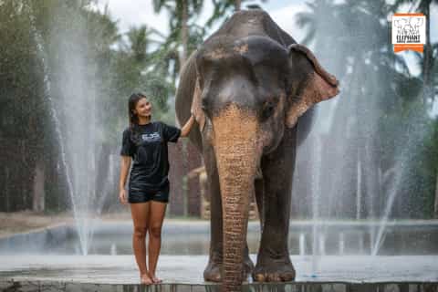 Koh Samui: Elephant Jungle Sanctuary Half-Day Tour - Image 3