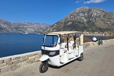 Kotor: eTukTuk Tour with Prčanj, Tivat, and Trojica Hill