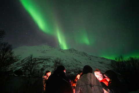Tromsø: Aurora Tour with Photos & Warm Bodysuits