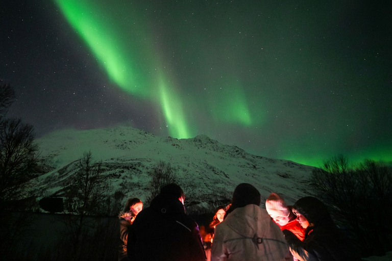 Tromsø: Aurora Tour with Photos & Warm Bodysuits