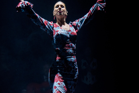 برشلونة: عرض "إلهام" فلامنكو حي "إلهامجنرال برشلونة: عرض فلامنكو حي "إلهام"