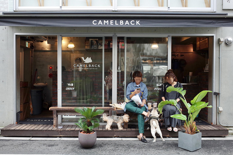 Tokyo : visite guidée en scooter électrique dans les quartiers cachés de ShibuyaTokyo : visite guidée en trottinette électrique dans le quartier caché de Shibuya