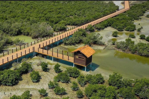 多哈与北卡塔尔：全天探索之旅多哈及北卡塔尔：全天深度探索之旅