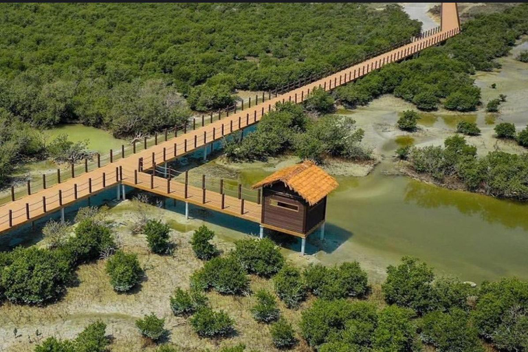 多哈与北卡塔尔：全天探索之旅多哈及北卡塔尔：全天深度探索之旅