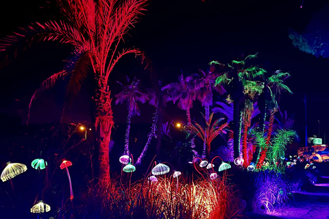 Ibiza: Bibo Park excursion