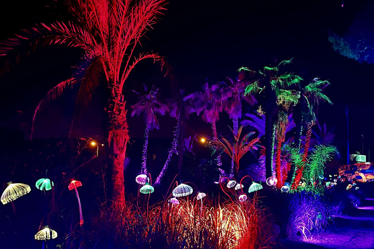 Ibiza: Bibo Park excursion