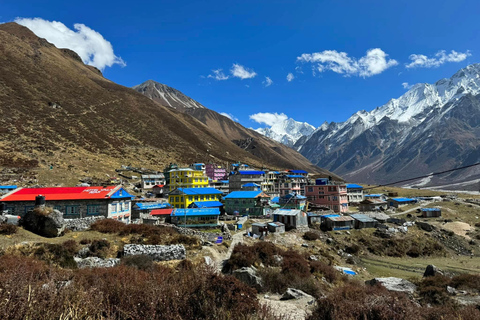 Kathmandu: Langtang Helicopter Tour with Mountain Views All- Inclusive Langtang Heli Tour