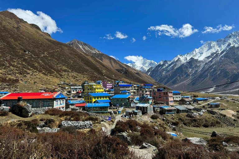 Kathmandu: Langtang Helicopter Tour with Mountain Views All- Inclusive Langtang Heli Tour