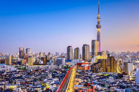 2 dias de tour particular pela cidade de Tóquio e pelo Monte Fuji ou Hakone