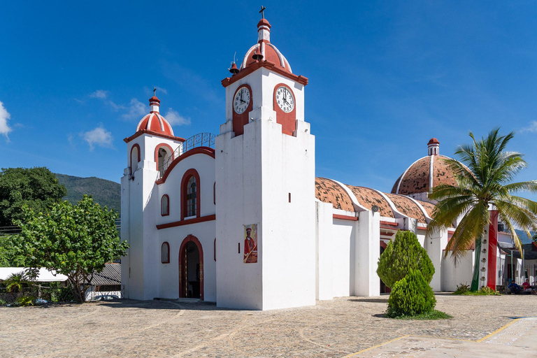 Huatulco: Pluma Hidalgo Coffee Origin and Essence.