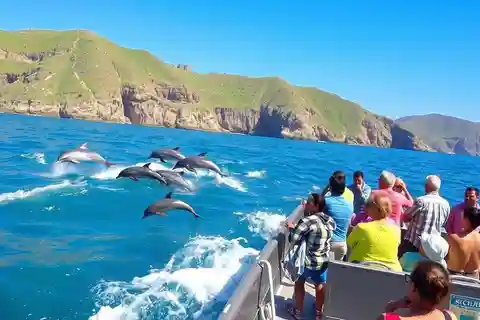 Salalah: Dolphin Watching Boat Tour