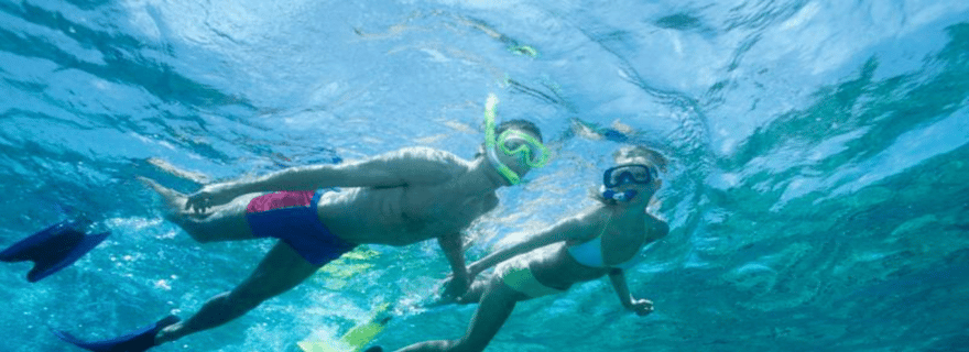 Découvrez l'île Maurice : Observation des dauphins, plongée en apnée, déjeuner barbecue