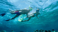 Découvrez l'île Maurice, Montre Dolphin, Snorkeling, Déjeuner BBQ - Hizvo