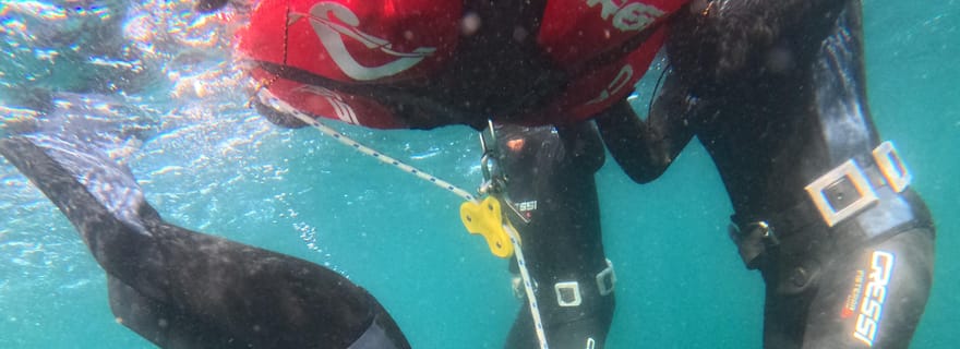 Groix : Stage Apnée 3 demi-journées / Plongée sous-marine