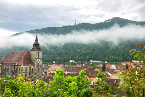 Brasov: Peles Castle, Bran Castle & Belvedere Viewpoint