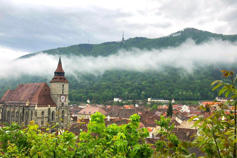 Brasov: Peles Castle, Bran Castle & Belvedere Viewpoint
