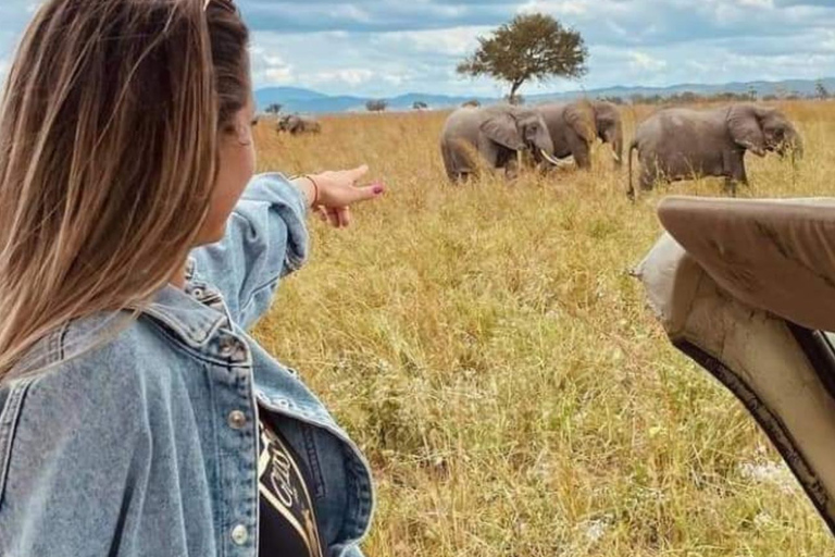 Excursión de un día de Zanzíbar a Mikumi : Safari de fauna salvajeDesde Zanzíbar Excursión de un día a Mikumi : Safari de fauna salvaje