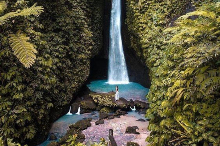 Bali: Monkey Forest Sangeh , Pura & Waterfall Private Tour Bali: Private Tour With Ticket ( Included Ticket )