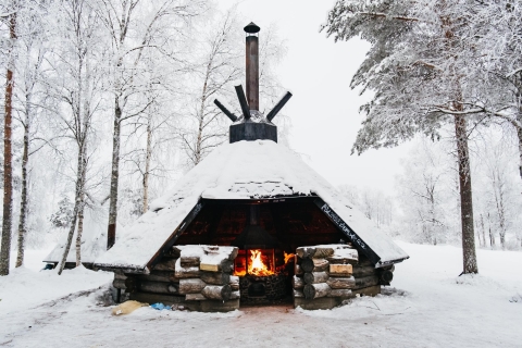 Rovaniemi: Schneemobil-Safari, Rentier- und Huskyfarm