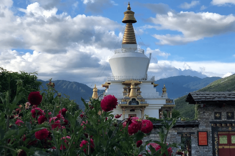All Inclusive Thimphu Full or Half Day City Tour with Lunch