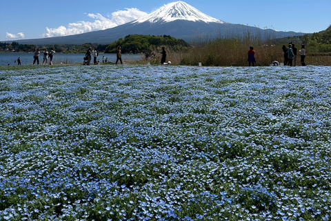 From Tokyo: Mount Fuji Full Day Customizable Private Tour LUXURY LAND CRUISER