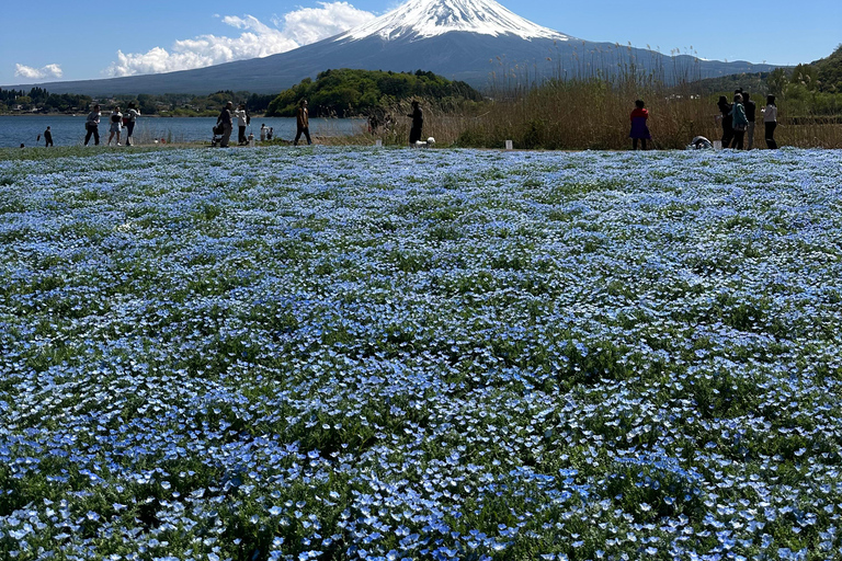 From Tokyo: Mount Fuji Full Day Customizable Private Tour LUXURY LAND CRUISER