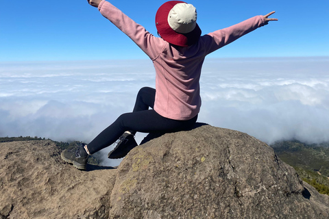 From Arusha: 5-Day Family Safari Adventure in Tanzania