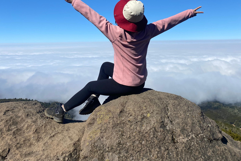 From Arusha: 5-Day Family Safari Adventure in Tanzania