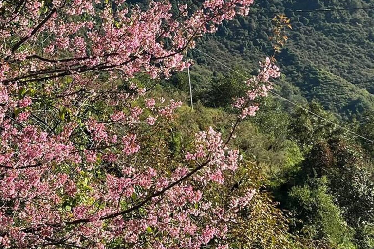 Pokhara: 2-Day Ghandruk Village Tour With Guide