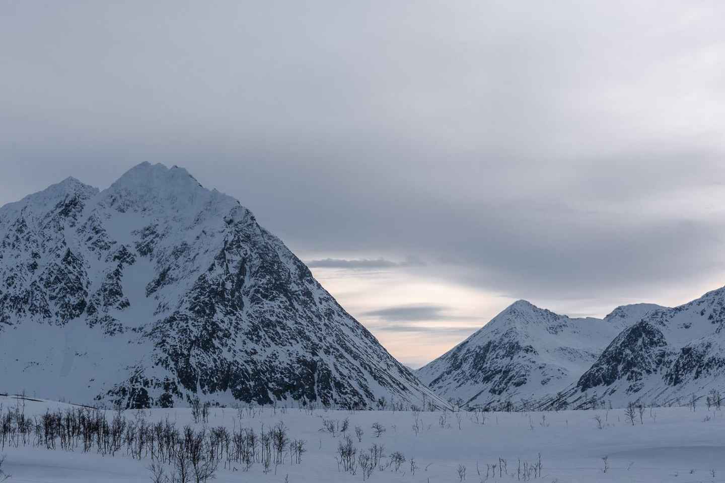 Tromso-Excursión con raquetas de nieve al mirador