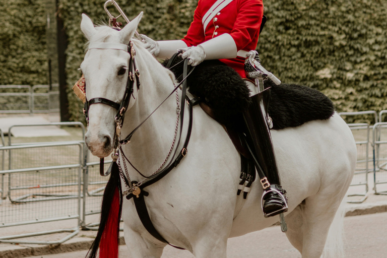 London: Premium 20+ Sights Tour with Expert Local Guide