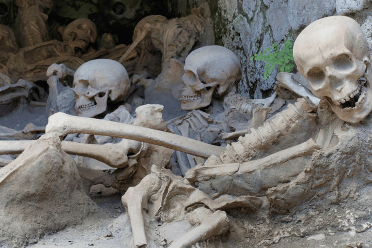 Da Roma: Tour di Pompei ed Ercolano con treno ad alta velocità