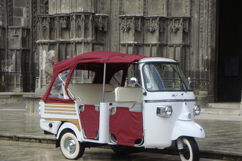 Tours: visite du coeur historique de la ville.