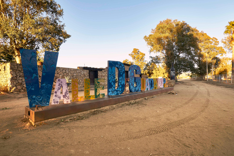 From Tijuana: Valle de Guadalupe Shared Winery Tour