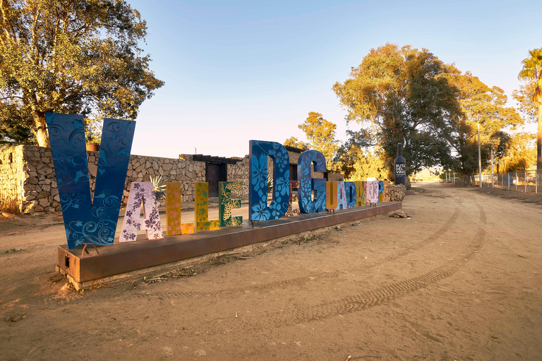 From Tijuana: Valle de Guadalupe Shared Winery Tour